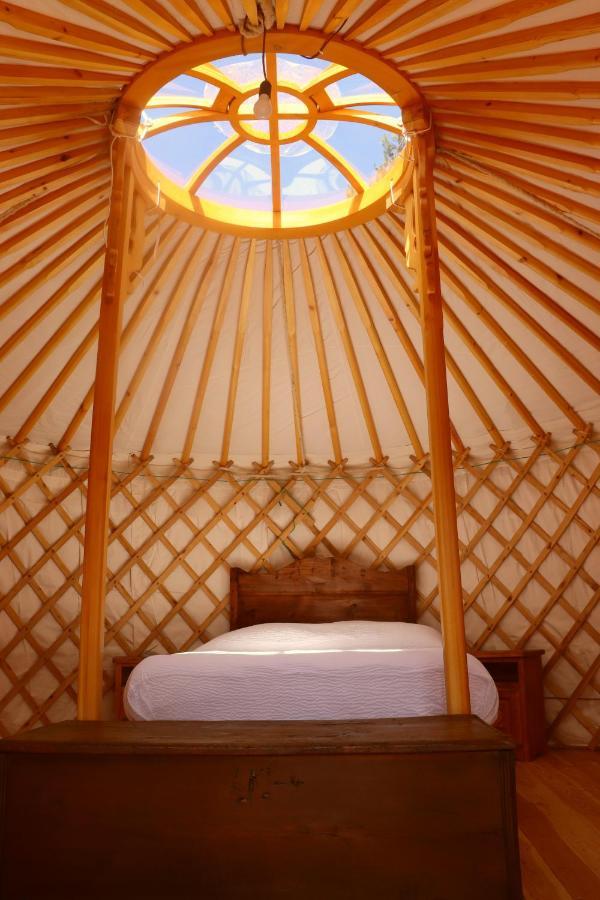 Glamping La Cascina D'Orleans Hotel Saint-Pierre Kültér fotó